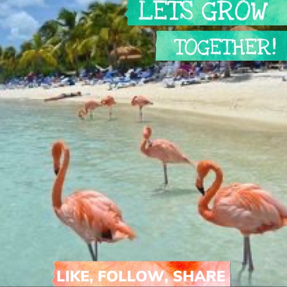 My 1st FOLLOW GAME! LIKE, FOLLOW, SHARE!♥️♥️😘😘♥️ - Picture 2 of 2